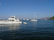 Missys Catalina 2005 00318.jpg: 2005/07/25 Heinekin's Catalina Pics - 2005
